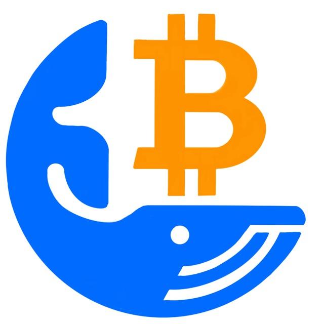 WHALEPRO.ORG анализ китов крипторынка со всех сторон