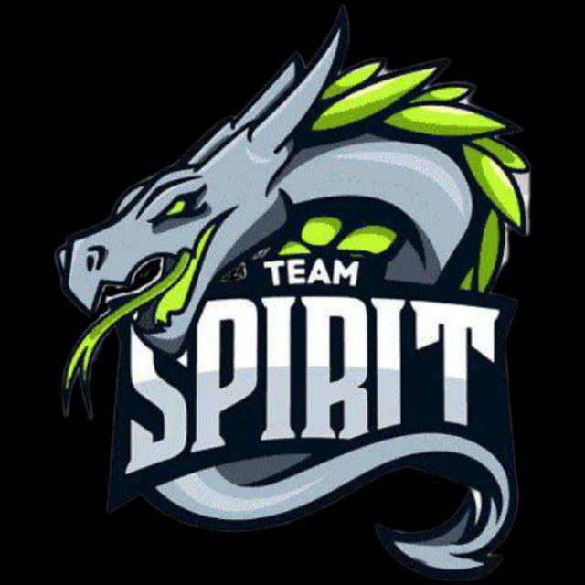 Spirit Team