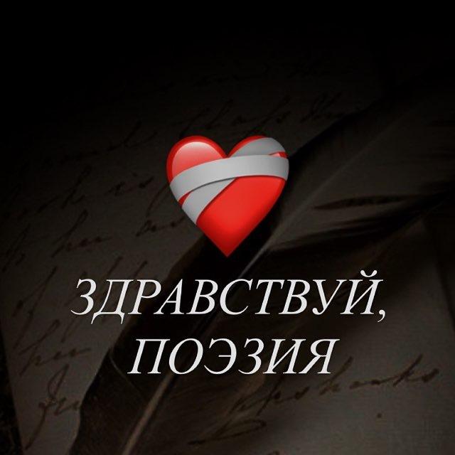 здравствуй, поэзия