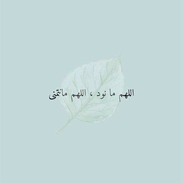 ‏﴿أَلا بِذِكرِ اللَّهِ تَطمَئِنُّ القُلوبُ﴾📚