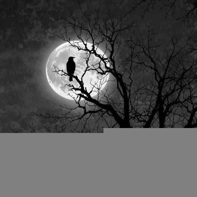 تـ⃟وْر لـ⃟ـيْک