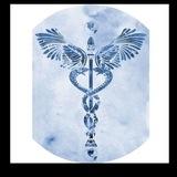 B.Sc Nursing Notes and information