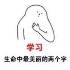 福建出击树洞