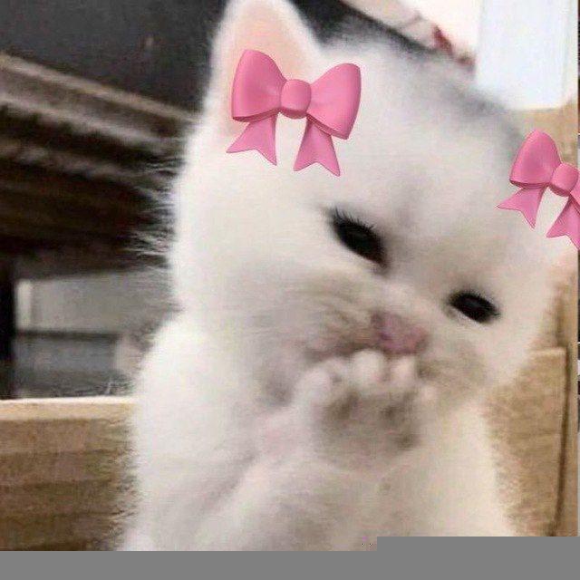 ♡