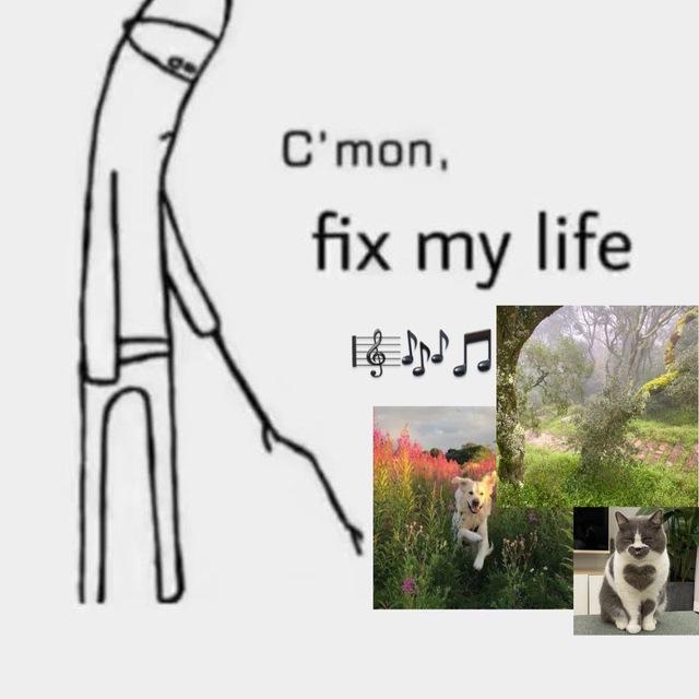 Animals