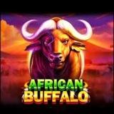 AFRICAN BUFFALO ကျွဲဂိမ်း စလော့ channel