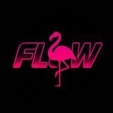 FLOW EVENT