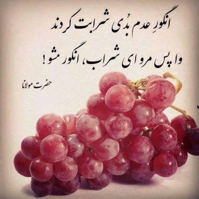 شـ🍇ـــرابِ شـ؏ـر