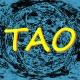 TAO-Chat 🌐 Theorie Aller Ordnung 🌐 Theory About Origin