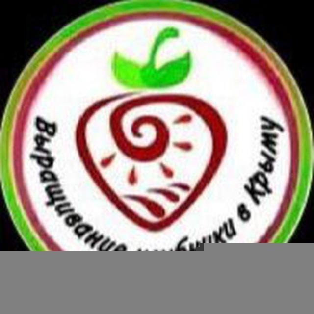 Выращивание клубники в Крыму