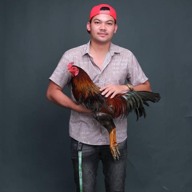 ទ្រុងបក្សី អេតមីនកូនមាន់