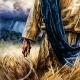 The Rising Harvest