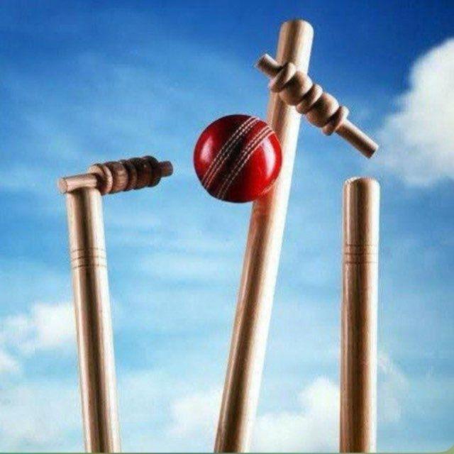 Cricket Expert Aryan