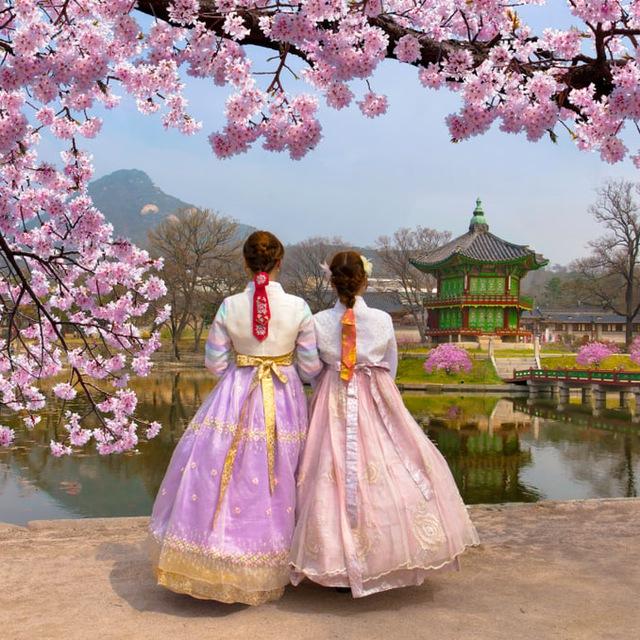韩国素材|套图|人设|美食|文案