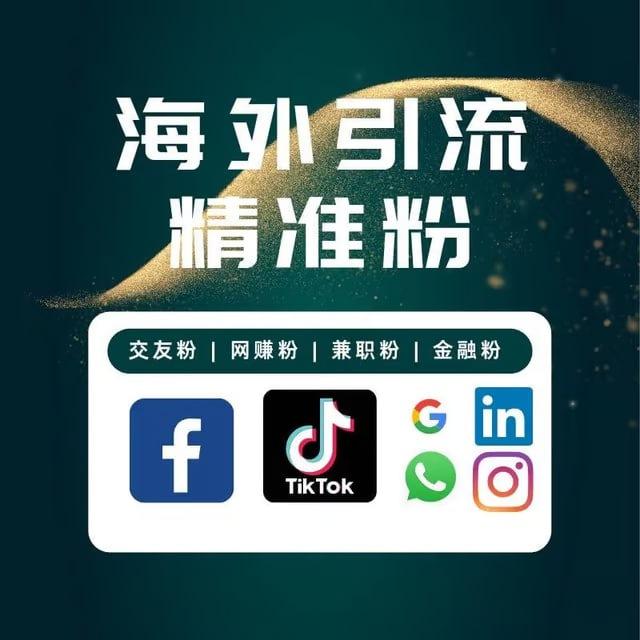ws｜TK｜FB｜推特｜抖音、群发、筛选、采集