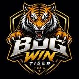 BDG WIN TIGER 🐯 TEAM