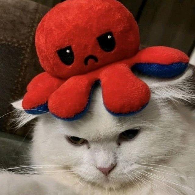 The Autistic Cat Channel