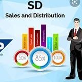 SAP SD , SAP trainee, Fresher jobs, SAP Jobs