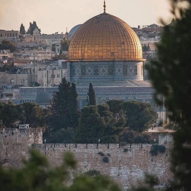 اخبار جالود.🇵🇸☝🏽