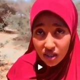 QARXIS SOMALI