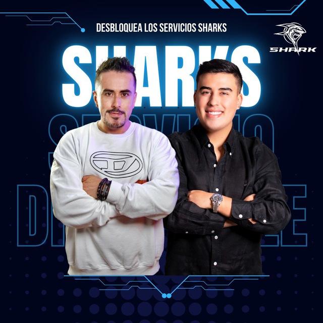 SHARK TRADERS OFICIAL