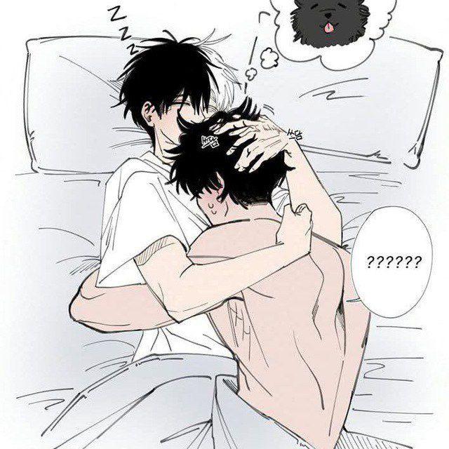 💤💤𝙃𝙤𝙡𝙞𝙙𝙖𝙮 𝙏𝙧𝙖𝙣𝙨𝙡𝙖𝙩𝙚 𝘽𝙡 𝙈𝙖𝙣𝙝𝙬𝙖💤💤