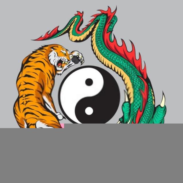 Dragon Tiger King🤑 ( Official )