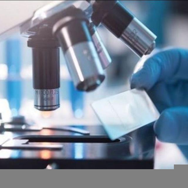 BSMI_Histology / Morphology
