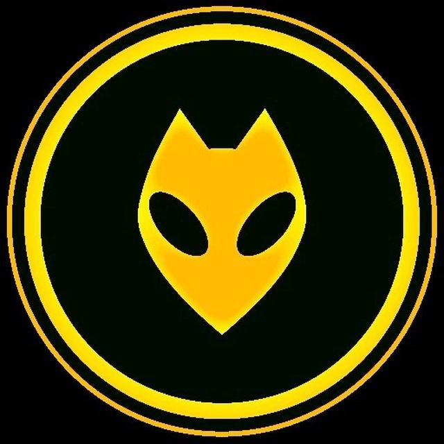 Hi-Res Music Channel █