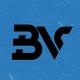 Bet Vision