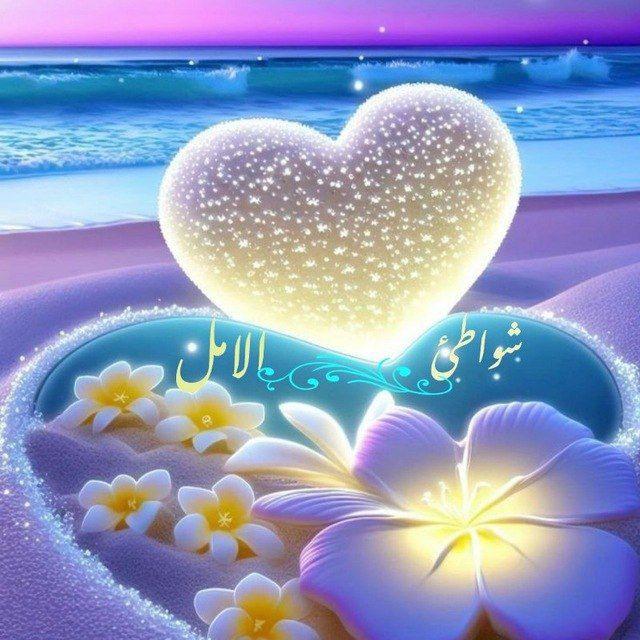 شواطئ الامل♥