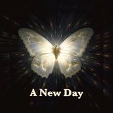 A New Day ✨