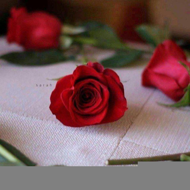 نقـآء🥀💭