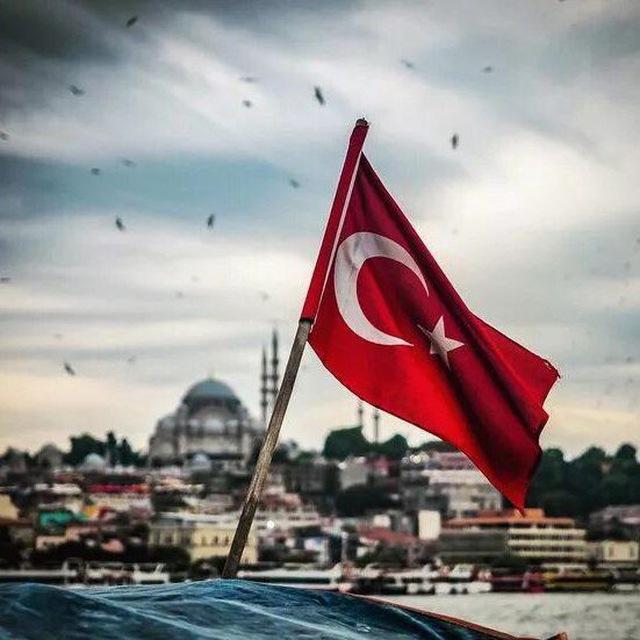 Ortadoğu Haber / Suriye / Irak / Filistin /İsrail / Türkiye / TSK / Operasyon / PKK leş