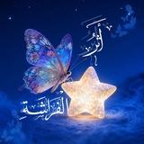 أَثَرُ الفرَاشَة |🦋🌧