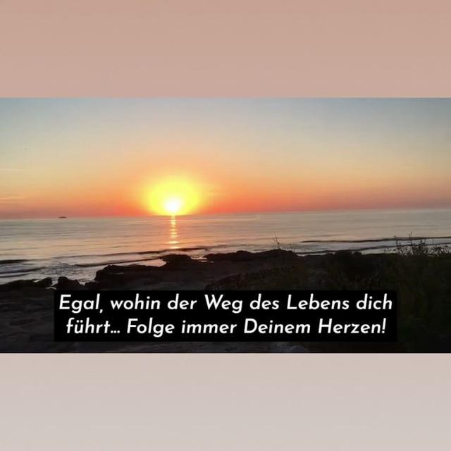 Unser 𝓝𝓕𝓡 💚 𝓝𝓔𝓣𝓩𝓦𝓔𝓡𝓚 𝓕𝓻𝓮𝓲𝓮𝓼 𝓡𝓮𝓲𝓼𝓮𝓃 verbindet - Webseite: https://Netzwerk-freiesreisen.eu #FreiSein #Oase
