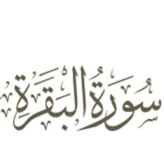 سورة البقرة كل يوم٠🤎