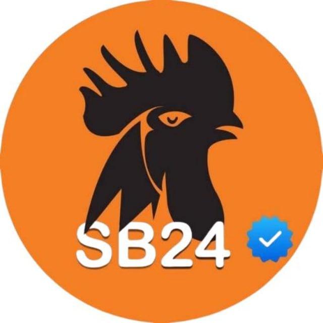 SB24