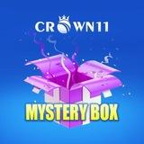 Crown11__Mystery box