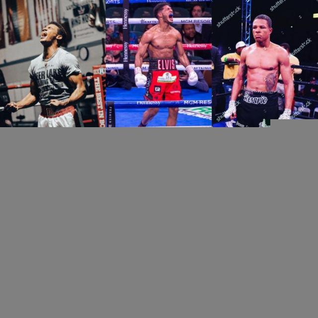 Boxing fights/pelea de boxeo 🥊