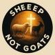 😇✝️Sheep Not Goats✝️😇