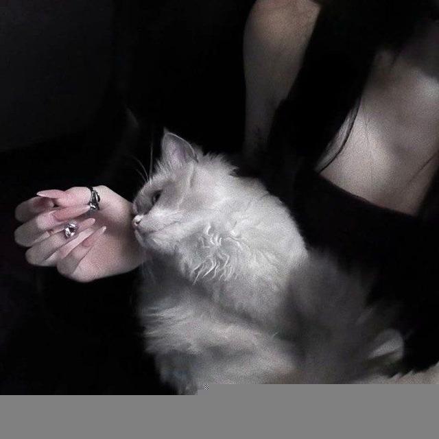 ялоп