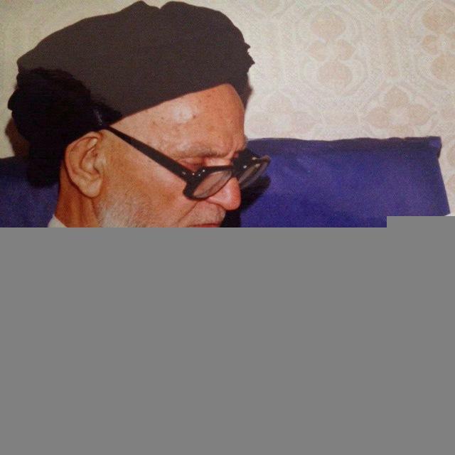 علامه سید ابوالفضل برقعی