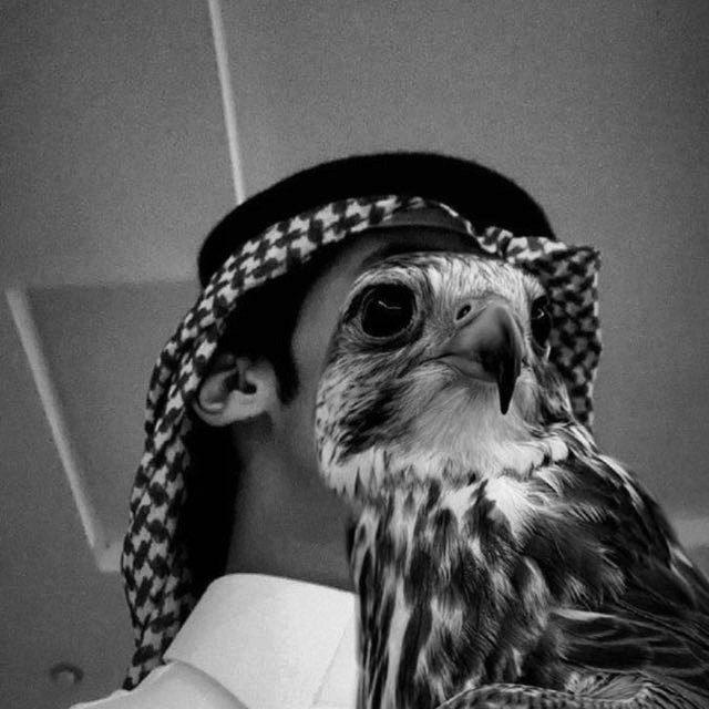 ذربَ١ .