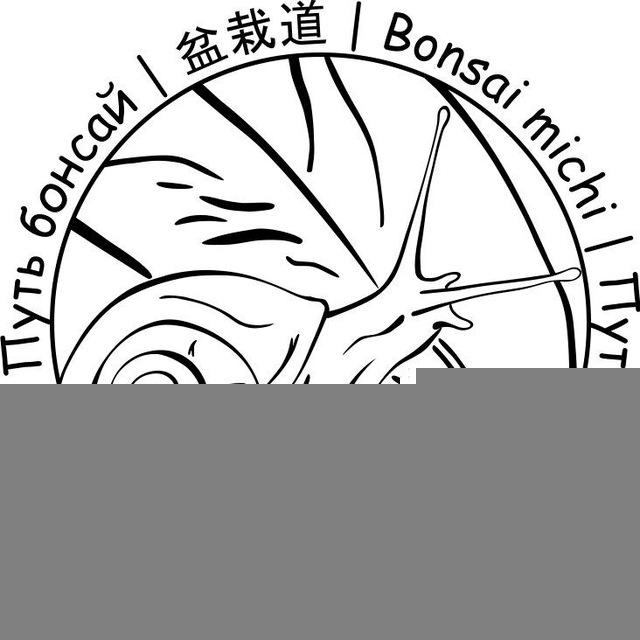Путь Бонсай/盆栽道/Bonsai michi