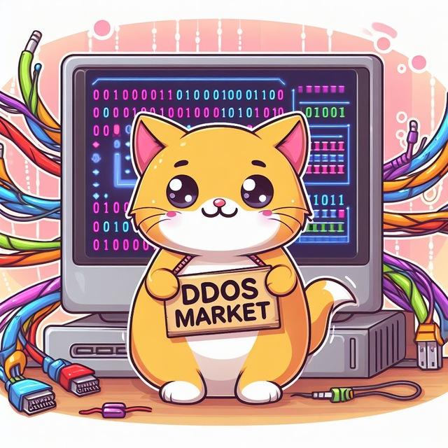 DDOS MARKET / SERVICES