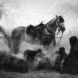 هِدايّة .