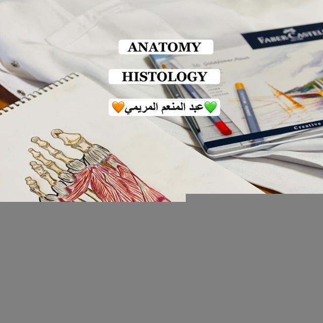 AN | HS | د. عبدالمنعم المريمي
