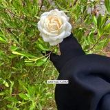الكاتبة سومة حكيم
