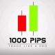 1000PIPS BUILDER (FOREX MARKET)®